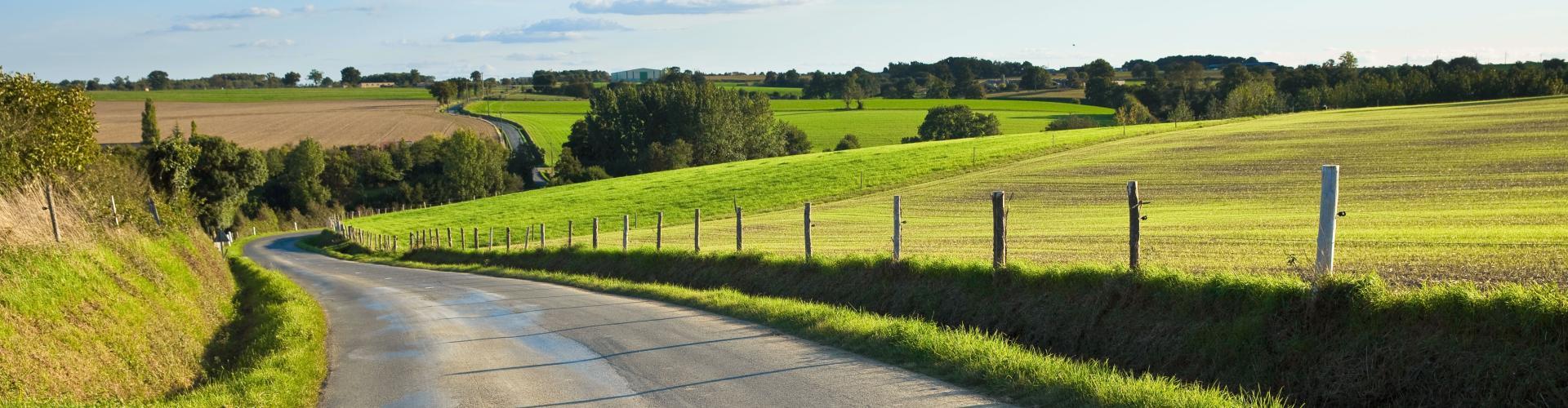 Route de campagne