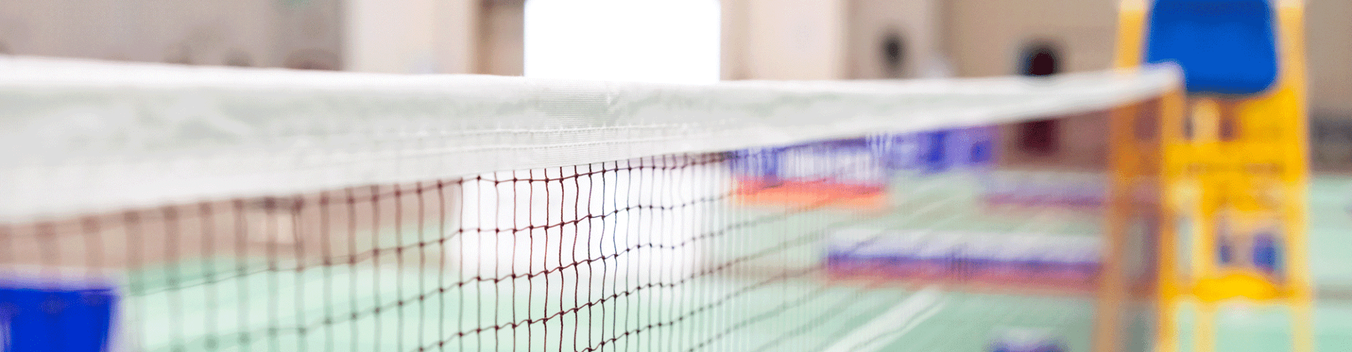 Filet et poteaux de badminton