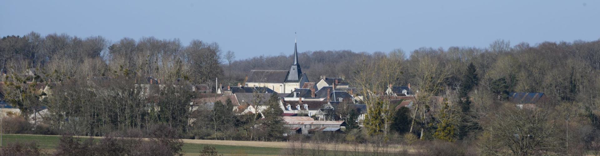 Paysage boisé avec vue d'un village en arrière-plan