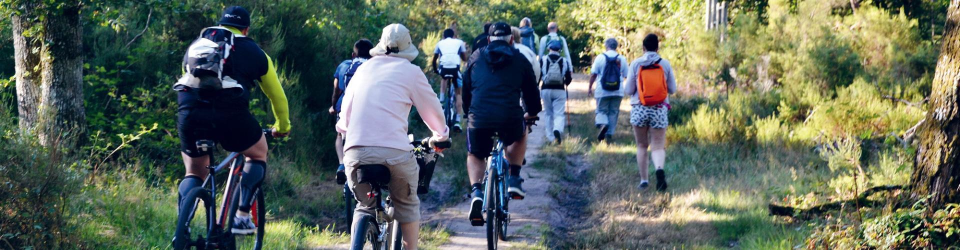 Cyclistes et marcheurs
