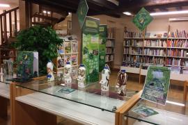 Vue intérieure de la bibliothèque de Niherne