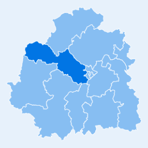 Canton de Buzançais
