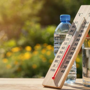 Canicule et vagues de chaleur : les bons gestes à adopter
[/fr/actualites/canicule-et-vagues-de-chaleur-les-bons-gestes-adopter]