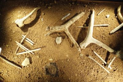 Objets en os - Agrandir l'image 4 sur 9, fenêtre modale