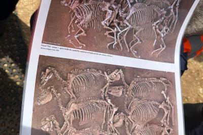  - Agrandir l'image 3 sur 7, fenêtre modale