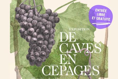  - Agrandir l'image - fenêtre modale