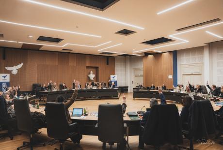  - Agrandir l'image - fenêtre modale