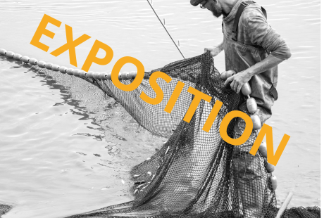  - Agrandir l'image - fenêtre modale