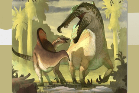  - Agrandir l'image - fenêtre modale