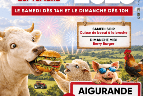  - Agrandir l'image - fenêtre modale