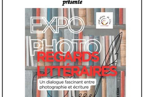  - Agrandir l'image - fenêtre modale