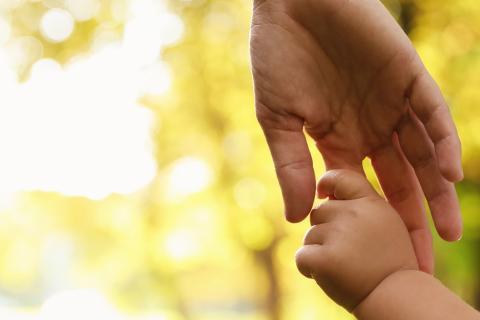 Main d'adulte qui tient la main d'un enfant