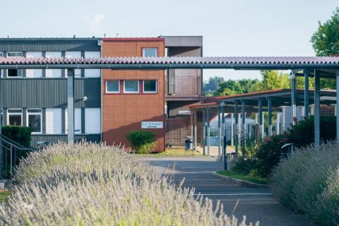 Collège de Levroux avec lavande au premier plan