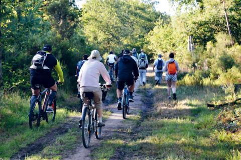 Cyclistes et marcheurs